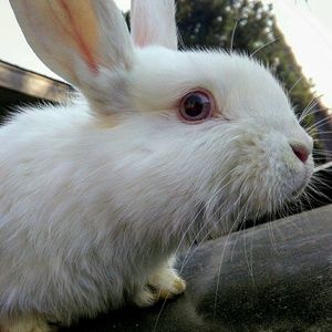 Meet your Posher, Tamara